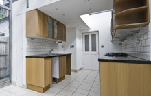 Mumbles kitchen extension leads